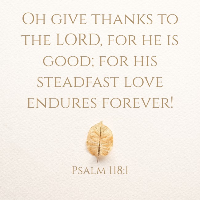 Oh give thanks to the LORD, for he is good; for his steadfast love endures forever! - Psalm 118:1