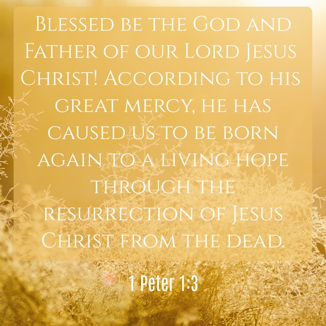 Blessed be the God and Father of our Lord Jesus Christ! According to his great mercy, he has caused us to be born again to a living hope through the resurrection of Jesus Christ from the dead. - 1 Peter 1:3