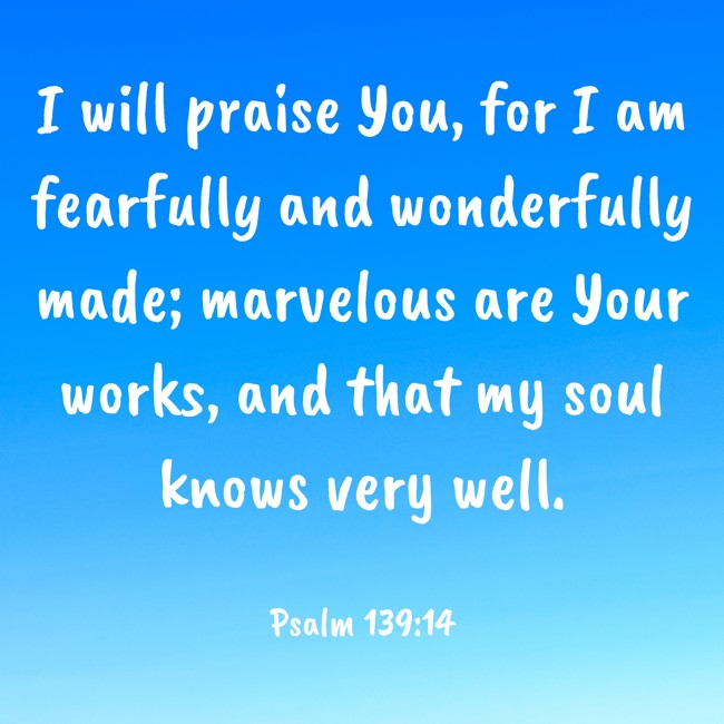I will praise You, for I am fearfully and wonderfully made; marvelous are Your works, and that my soul knows very well. - Psalm 139:14