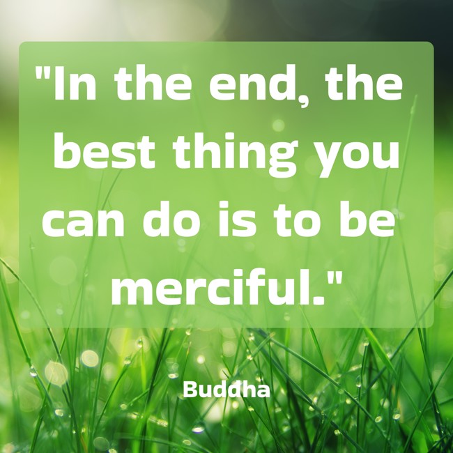 In the end, the best thing you can do is to be merciful. - Buddha
