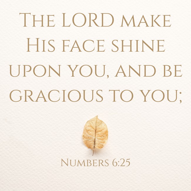 The LORD make His face shine upon you, and be gracious to you; - Numbers 6:25