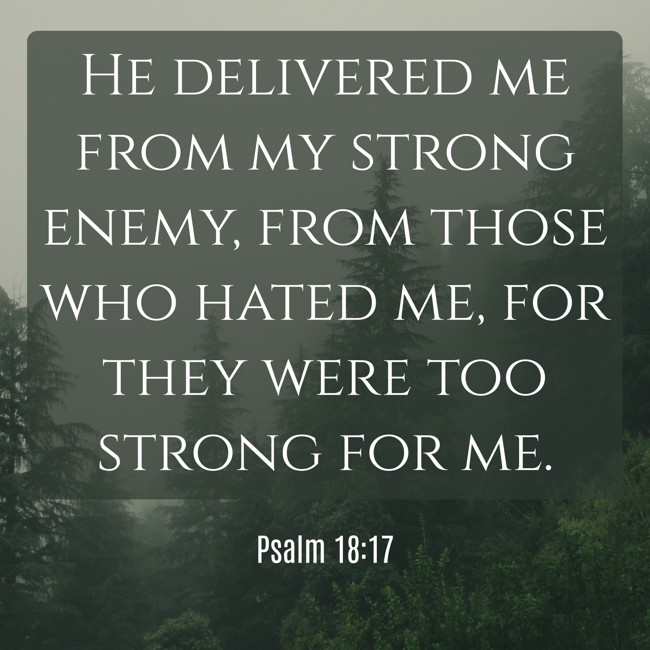 He delivered me from my strong enemy, from those who hated me, for they were too strong for me. - Psalm 18:17