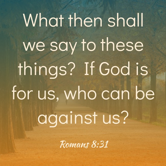 What then shall we say to these things? If God is for us, who can be against us? - Romans 8:31