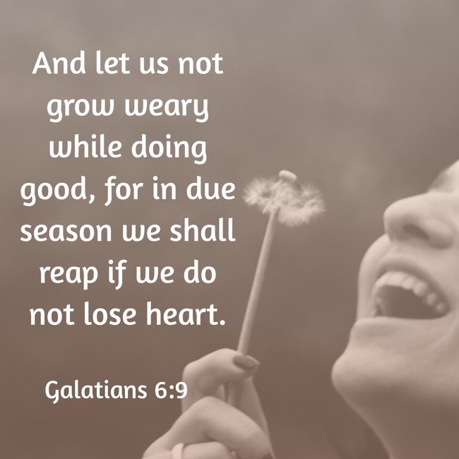 And let us not grow weary while doing good, for in due season we shall reap if we do not lose heart. - Galatians 6:9