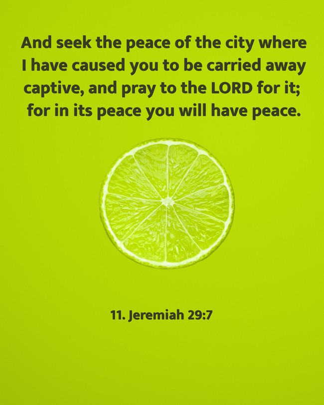 And seek the peace of the city where I have caused you to be carried away captive, and pray to the LORD for it; for in its peace you will have peace. - 11. Jeremiah 29:7