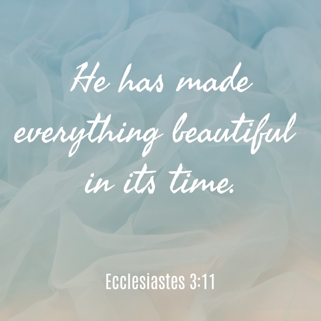 He has made everything beautiful in its time. - Ecclesiastes 3:11