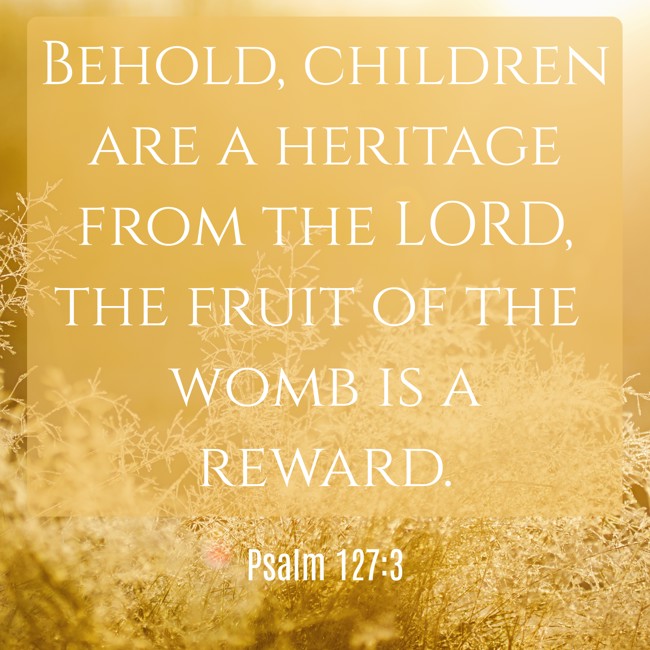 Behold, children are a heritage from the LORD, the fruit of the womb is a reward. - Psalm 127:3