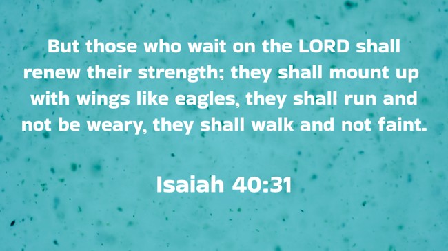 But those who wait on the LORD shall renew their strength; they shall mount up with wings like eagles, they shall run and not be weary, they shall walk and not faint. - Isaiah 40:31