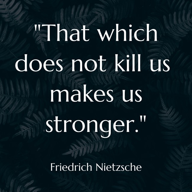That which does not kill us makes us stronger. - Friedrich Nietzsche