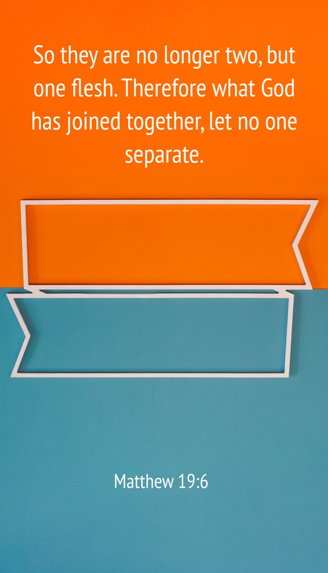 So they are no longer two, but one flesh. Therefore what God has joined together, let no one separate. - Matthew 19:6