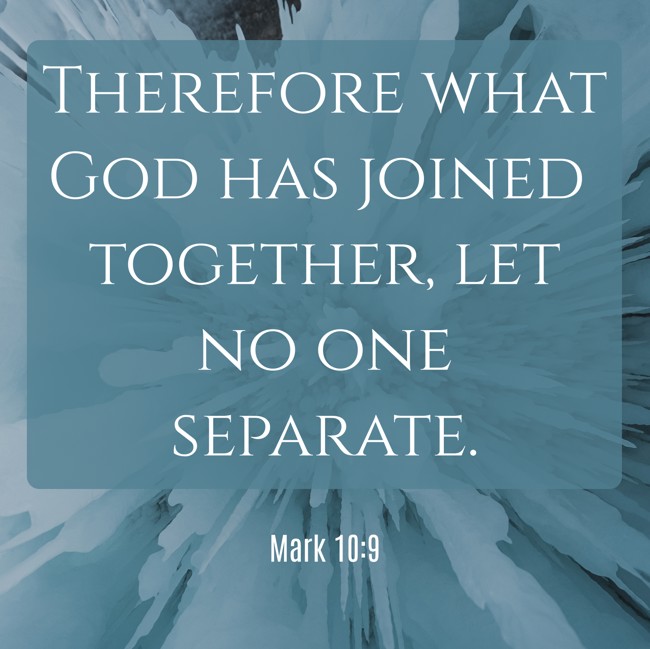 Therefore what God has joined together, let no one separate. - Mark 10:9