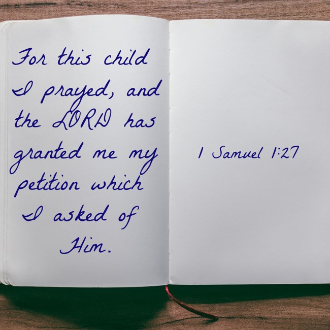 For this child I prayed, and the LORD has granted me my petition which I asked of Him. - 1 Samuel 1:27