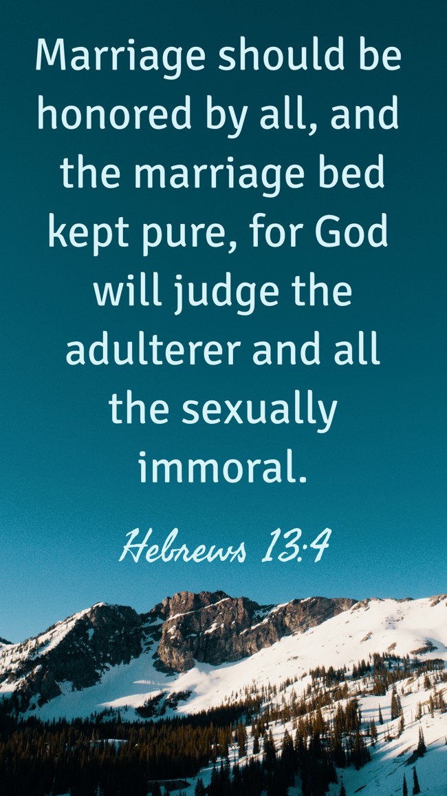Marriage should be honored by all, and the marriage bed kept pure, for God will judge the adulterer and all the sexually immoral. - Hebrews 13:4