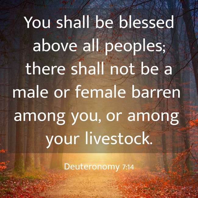 You shall be blessed above all peoples; there shall not be a male or female barren among you, or among your livestock. - Deuteronomy 7:14