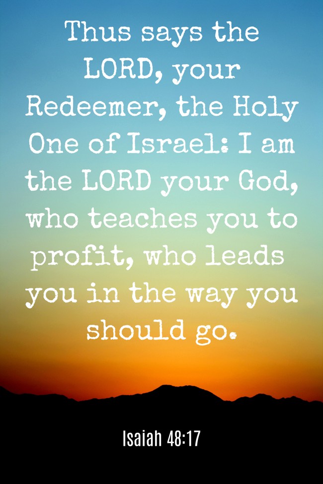 Thus says the LORD, your Redeemer, the Holy One of Israel: I am the LORD your God, who teaches you to profit, who leads you in the way you should go. - Isaiah 48:17