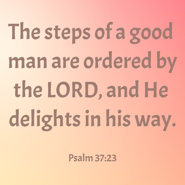 The steps of a good man are ordered by the LORD, and He delights in his way. - Psalm 37:23