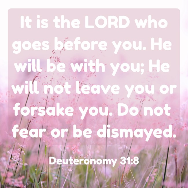 It is the LORD who goes before you. He will be with you; He will not leave you or forsake you. Do not fear or be dismayed. - Deuteronomy 31:8