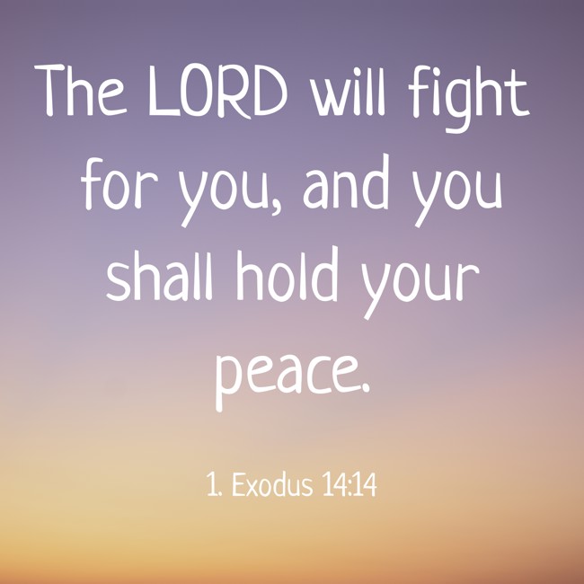 The LORD will fight for you, and you shall hold your peace. - 1. Exodus 14:14