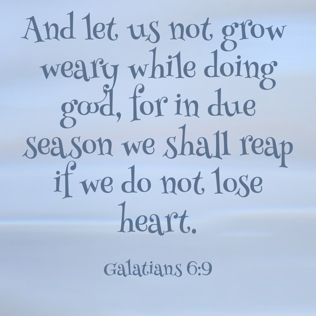 And let us not grow weary while doing good, for in due season we shall reap if we do not lose heart. - Galatians 6:9