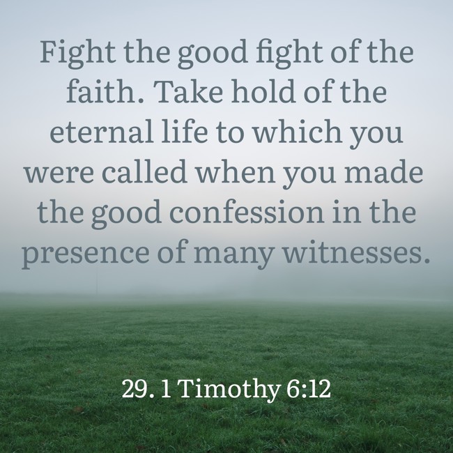 Fight the good fight of the faith. Take hold of the eternal life to which you were called when you made the good confession in the presence of many witnesses. - 29. 1 Timothy 6:12