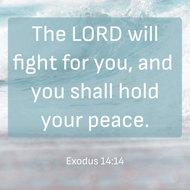 The LORD will fight for you, and you shall hold your peace. - Exodus 14:14