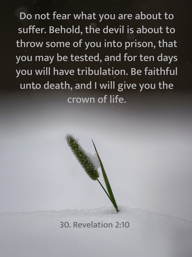 Do not fear what you are about to suffer. Behold, the devil is about to throw some of you into prison, that you may be tested, and for ten days you will have tribulation. Be faithful unto death, and I will give you the crown of life. - 30. Revelation 2:10