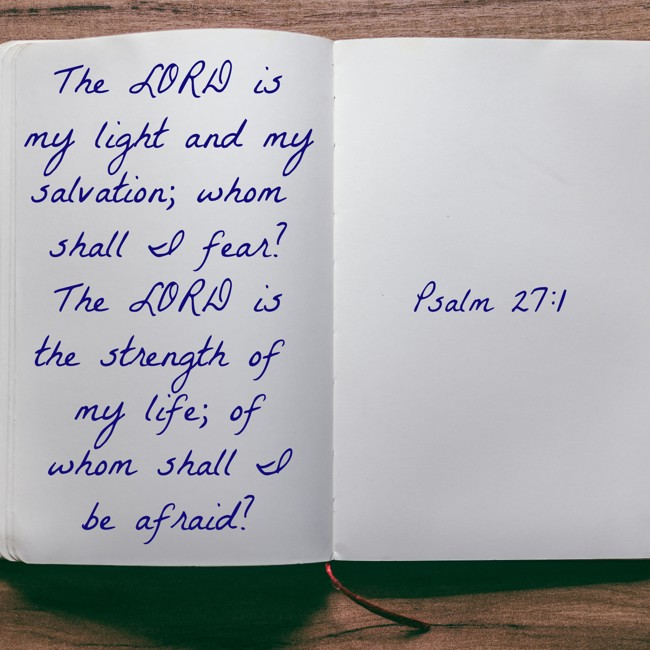 The LORD is my light and my salvation; whom shall I fear? The LORD is the strength of my life; of whom shall I be afraid? - Psalm 27:1