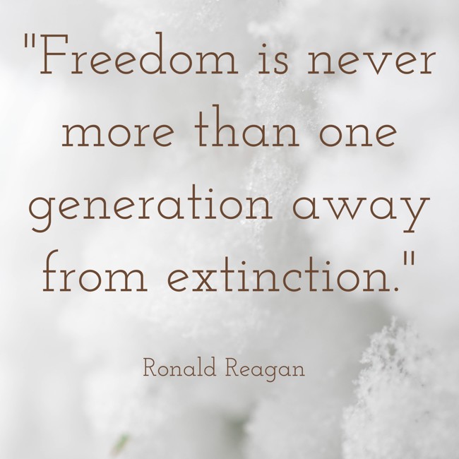 Freedom is never more than one generation away from extinction. - Ronald Reagan