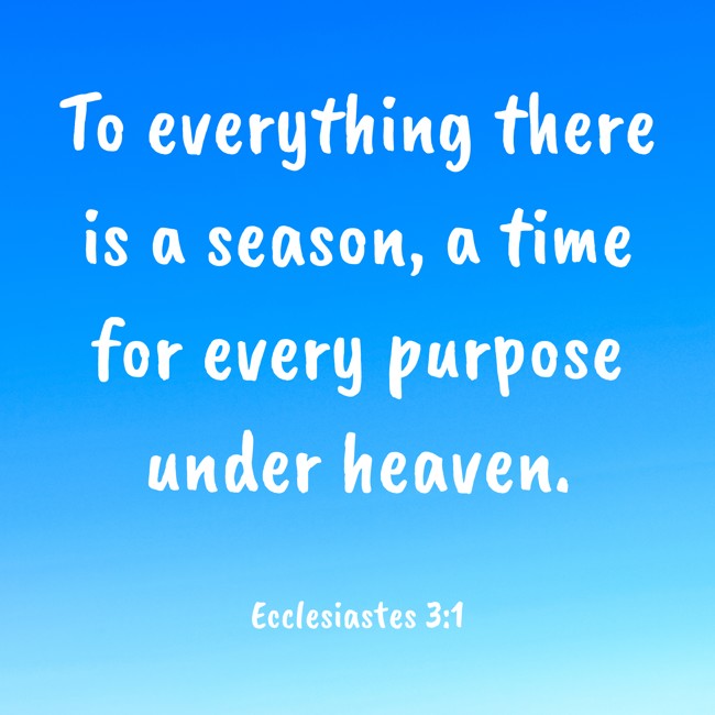 To everything there is a season, a time for every purpose under heaven. - Ecclesiastes 3:1