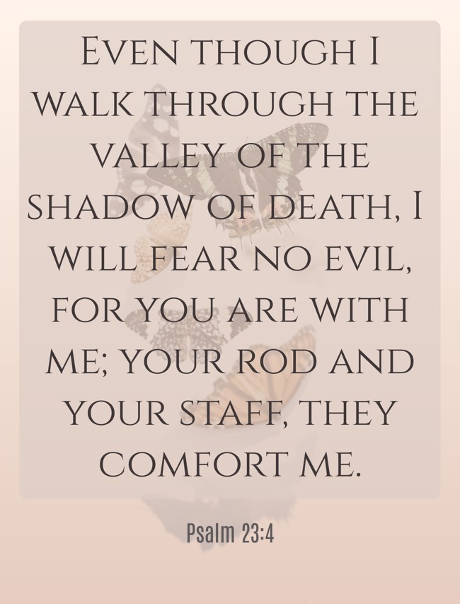 Even though I walk through the valley of the shadow of death, I will fear no evil, for you are with me; your rod and your staff, they comfort me. - Psalm 23:4