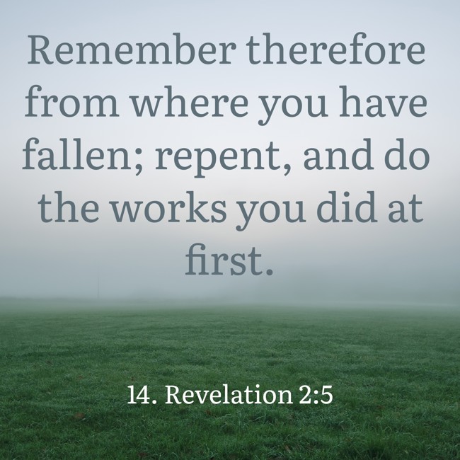 Remember therefore from where you have fallen; repent, and do the works you did at first. - 14. Revelation 2:5