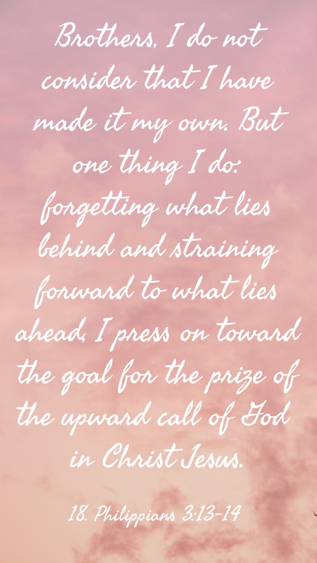 Brothers, I do not consider that I have made it my own. But one thing I do: forgetting what lies behind and straining forward to what lies ahead, I press on toward the goal for the prize of the upward call of God in Christ Jesus. - 18. Philippians 3:13-14