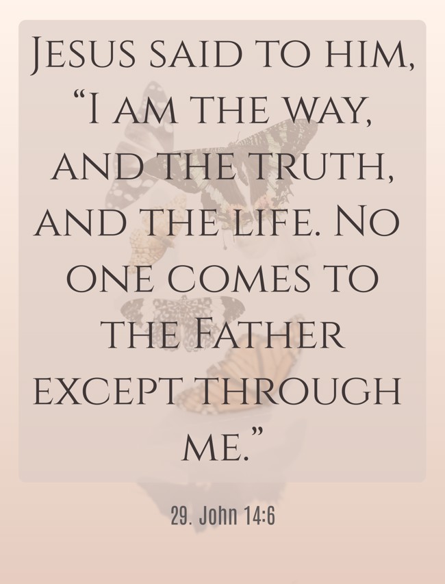 Jesus said to him, “I am the way, and the truth, and the life. No one comes to the Father except through me.” - 29. John 14:6