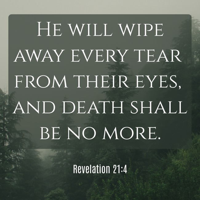 He will wipe away every tear from their eyes, and death shall be no more. - Revelation 21:4