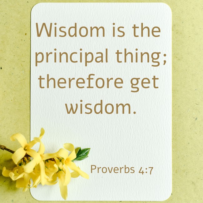 Wisdom is the principal thing; therefore get wisdom. - Proverbs 4:7