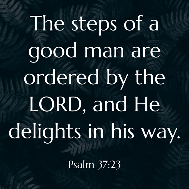 The steps of a good man are ordered by the LORD, and He delights in his way. - Psalm 37:23