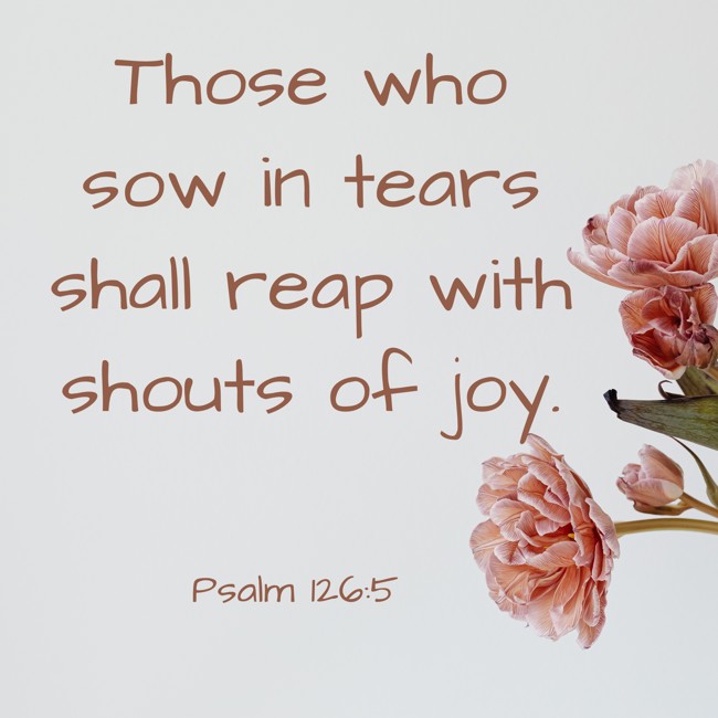 Those who sow in tears shall reap with shouts of joy. - Psalm 126:5