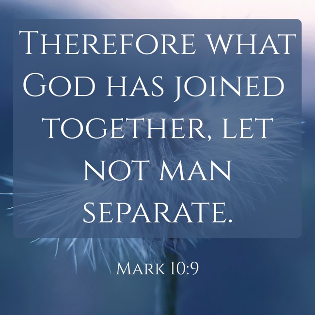 Therefore what God has joined together, let not man separate. - Mark 10:9