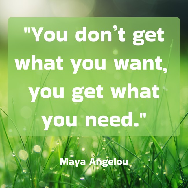 You don’t get what you want, you get what you need. - Maya Angelou