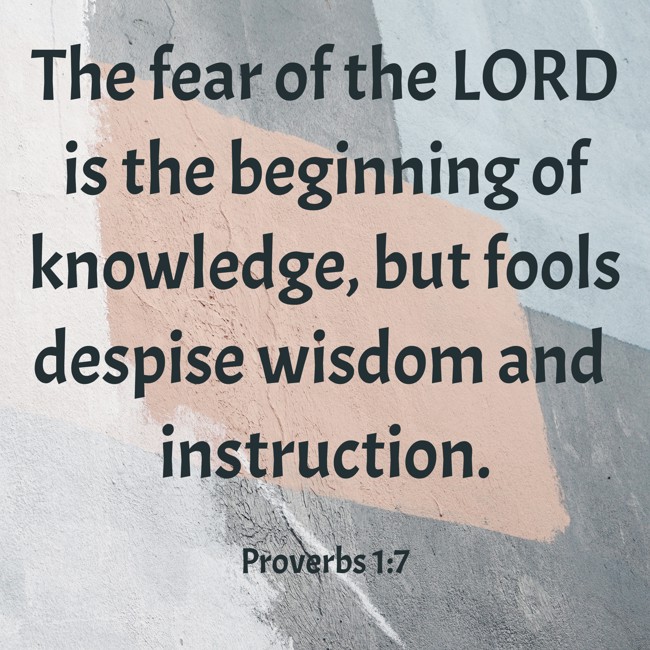 The fear of the LORD is the beginning of knowledge, but fools despise wisdom and instruction. - Proverbs 1:7