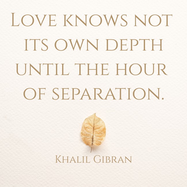 Love knows not its own depth until the hour of separation. - Khalil Gibran