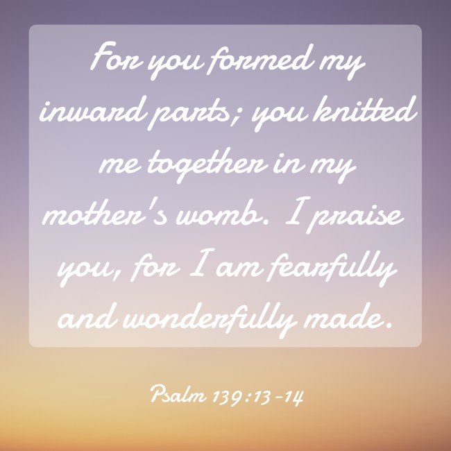 For you formed my inward parts; you knitted me together in my mother's womb. I praise you, for I am fearfully and wonderfully made. - Psalm 139:13-14