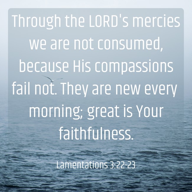 Through the LORD's mercies we are not consumed, because His compassions fail not. They are new every morning; great is Your faithfulness. - Lamentations 3:22-23