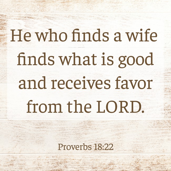  He who finds a wife finds what is good and receives favor from the LORD.   - Proverbs 18:22 