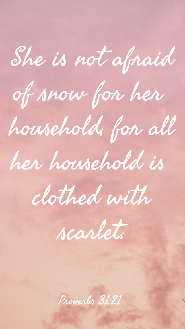  She is not afraid of snow for her household, for all her household is clothed with scarlet.   - Proverbs 31:21 