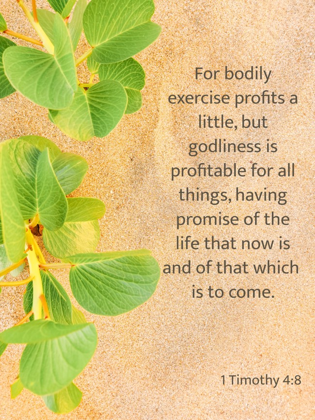 For bodily exercise profits a little, but godliness is profitable for all things, having promise of the life that now is and of that which is to come. - 1 Timothy 4:8