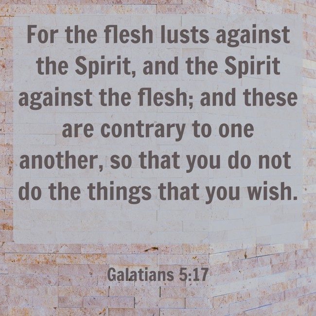 For the flesh lusts against the Spirit, and the Spirit against the flesh; and these are contrary to one another, so that you do not do the things that you wish. - Galatians 5:17