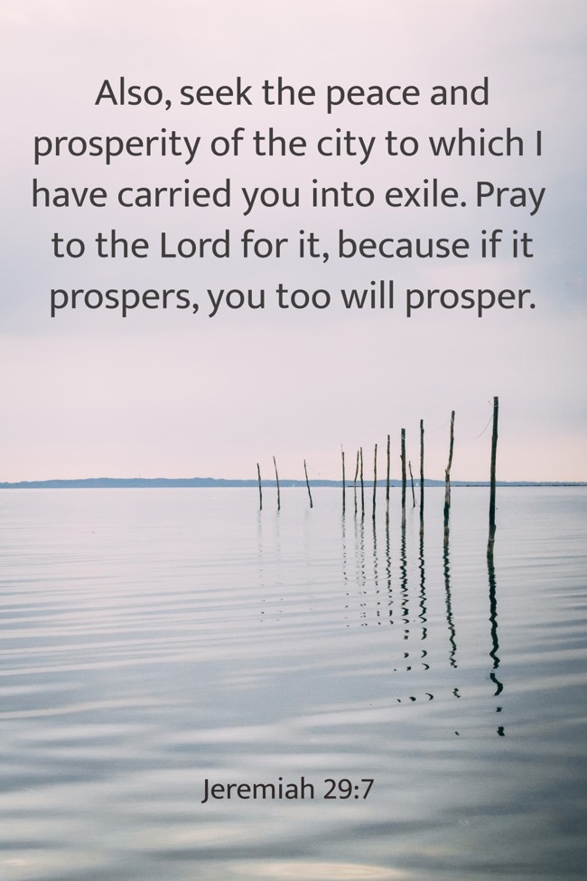 Also, seek the peace and prosperity of the city to which I have carried you into exile. Pray to the Lord for it, because if it prospers, you too will prosper. - Jeremiah 29:7