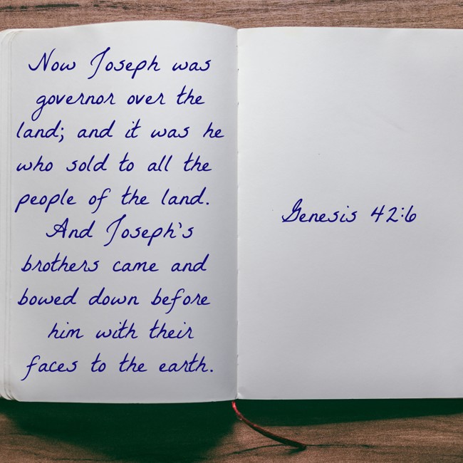 Now Joseph was governor over the land; and it was he who sold to all the people of the land. And Joseph's brothers came and bowed down before him with their faces to the earth. - Genesis 42:6