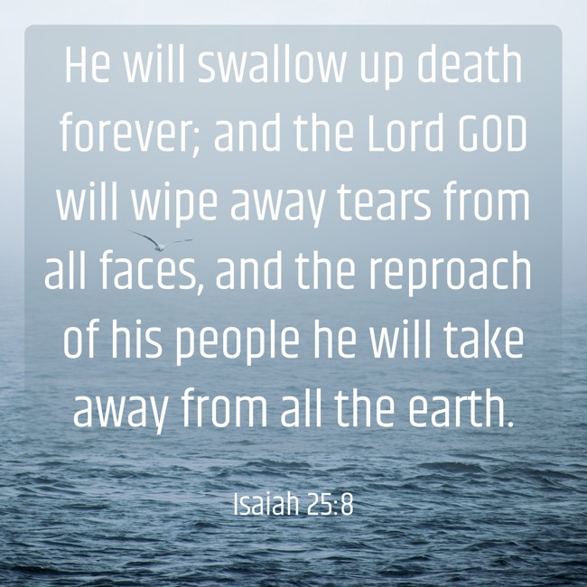 He will swallow up death forever; and the Lord GOD will wipe away tears from all faces, and the reproach of his people he will take away from all the earth. - Isaiah 25:8